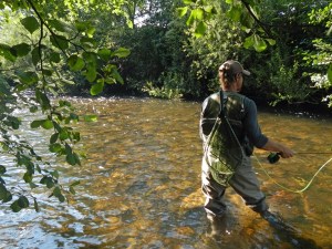 Pêche à la mouche en Alsace sur la Fecht dans la vallée de Munster
